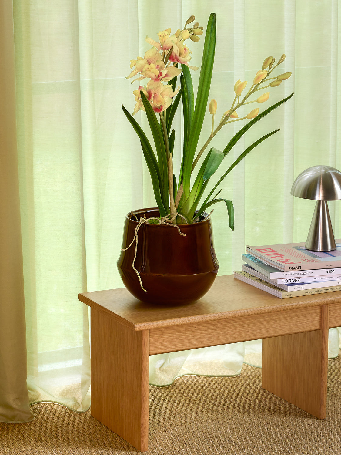 עציץ קרמיקה חום לארג  VIBE